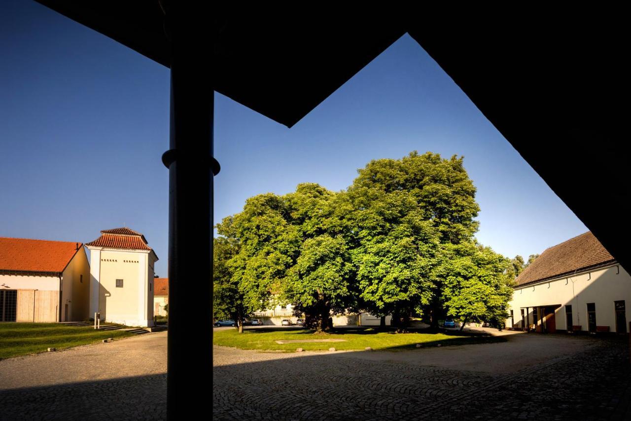 Penzion Pansky Dvur Telč Екстериор снимка