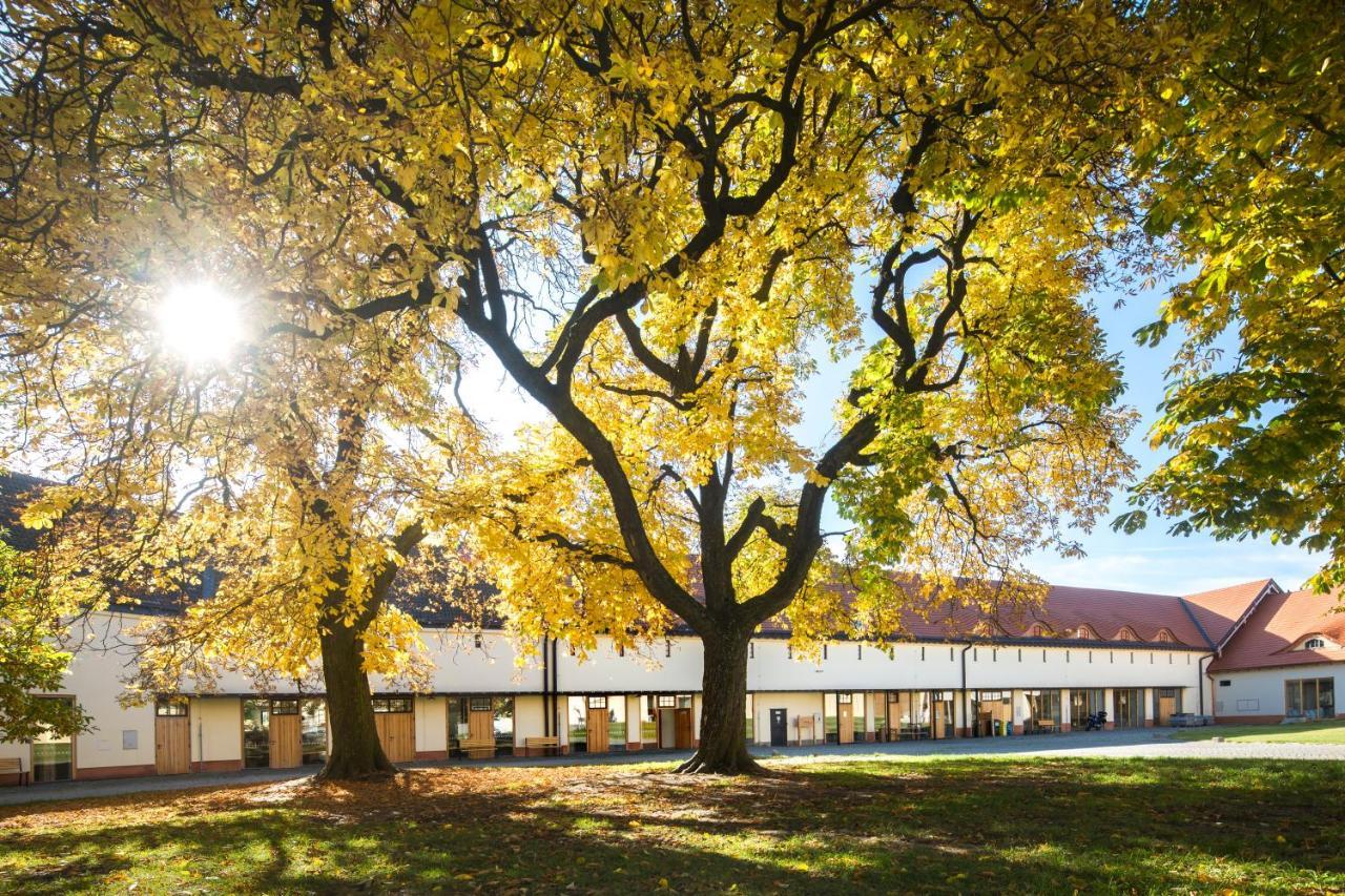Penzion Pansky Dvur Telč Екстериор снимка